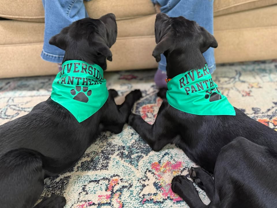 Riverside Dog Bandana