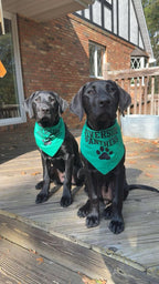 Riverside Dog Bandana